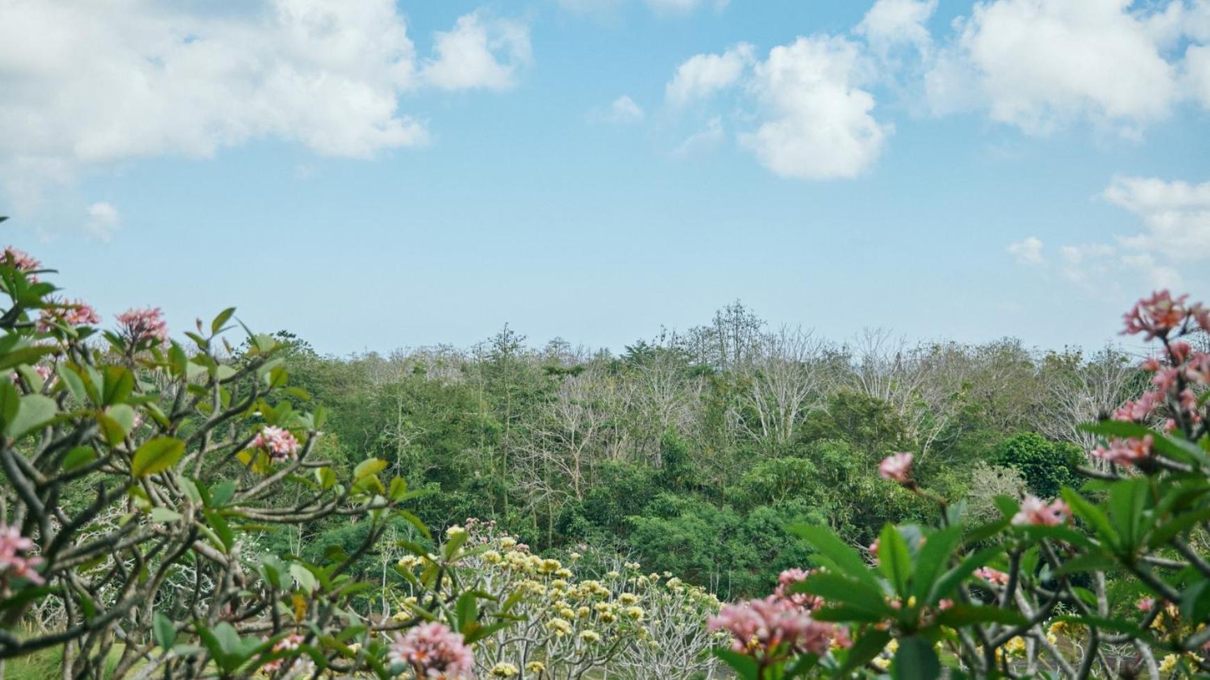 Hotel Rimba By Ayana Bali Jimbaran Exterior foto View of the forest